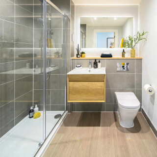 67593image